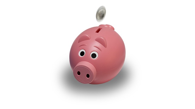 Tags: piggy bank, coin, pink